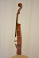 Neubau-Violine 7/8 Größe
